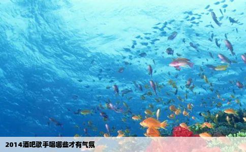 2014酒吧歌手唱哪些才有气氛