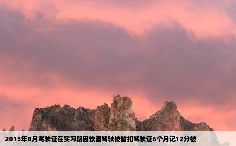 2015年8月驾驶证在实习期因饮酒驾驶被暂扣驾驶证6个月记12分被