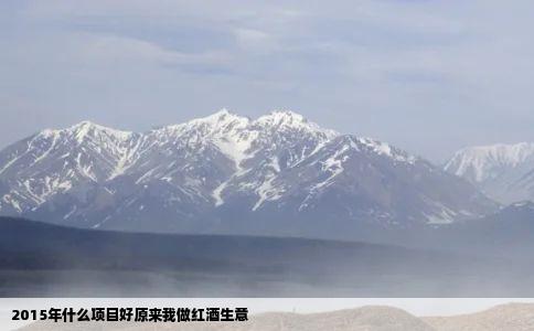 2015年什么项目好原来我做红酒生意