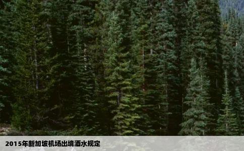 2015年新加坡机场出境酒水规定