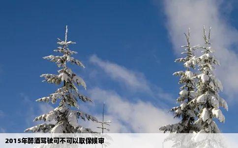 2015年醉酒驾驶可不可以取保候审