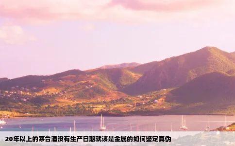 20年以上的茅台酒没有生产日期就该是金属的如何鉴定真伪