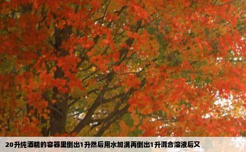 20升纯酒精的容器里倒出1升然后用水加满再倒出1升混合溶液后又