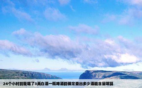 24个小时前我喝了3两白酒一瓶啤酒能确定查出多少酒精含量呢算