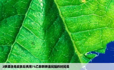 2碘酒消毒皮肤后再用75乙醇脱碘需间隔的时间是