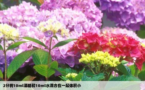 2分将10ml酒精和10ml水混合在一起体积小