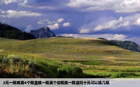 2元一瓶啤酒4个瓶盖换一瓶两个空瓶换一瓶请问十元可以换几瓶