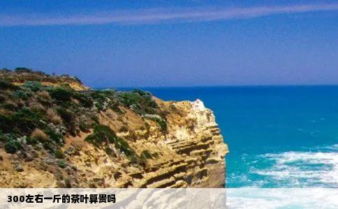 300左右一斤的茶叶算贵吗