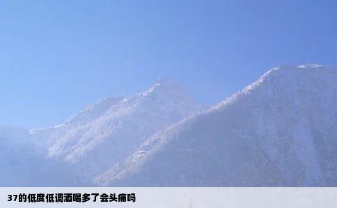 37的低度低调酒喝多了会头痛吗