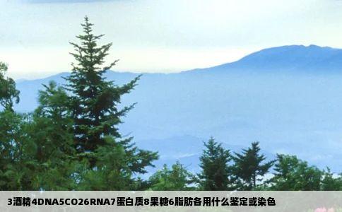 3酒精4DNA5CO26RNA7蛋白质8果糖6脂肪各用什么鉴定或染色