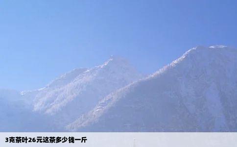 3克茶叶26元这茶多少钱一斤