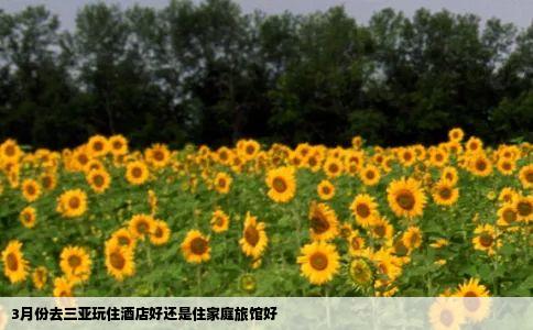 3月份去三亚玩住酒店好还是住家庭旅馆好