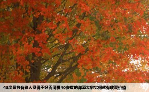 43度茅台有些人觉得不好而同样40多度的洋酒大家觉得就有收藏价值
