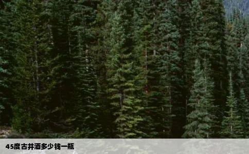 45度古井酒多少钱一瓶