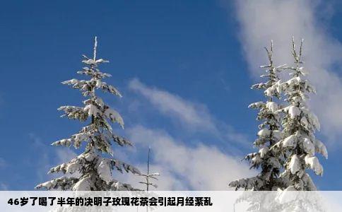 46岁了喝了半年的决明子玫瑰花茶会引起月经紊乱