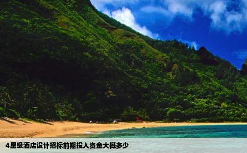 4星级酒店设计招标前期投入资金大概多少