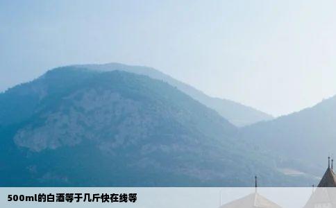 500ml的白酒等于几斤快在线等