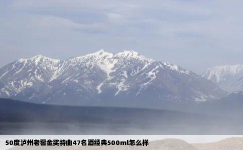 50度泸州老窖金奖特曲47名酒经典500ml怎么样