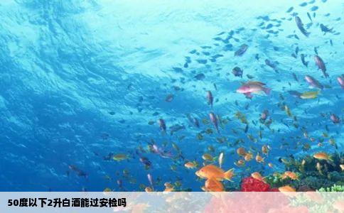 50度以下2升白酒能过安检吗