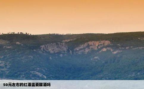 50元左右的红酒需要醒酒吗