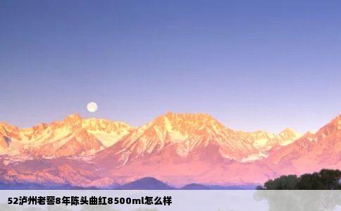52泸州老窖8年陈头曲红8500ml怎么样
