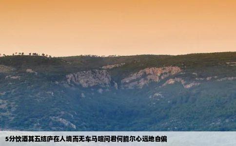 5分饮酒其五结庐在人境而无车马喧问君何能尔心远地自偏