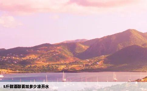 5斤甜酒酿要加多少凉开水