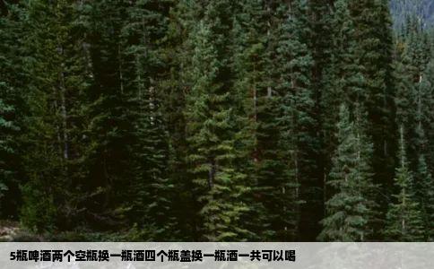 5瓶啤酒两个空瓶换一瓶酒四个瓶盖换一瓶酒一共可以喝