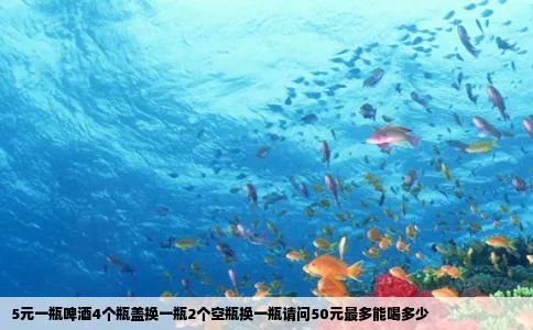 5元一瓶啤酒4个瓶盖换一瓶2个空瓶换一瓶请问50元最多能喝多少