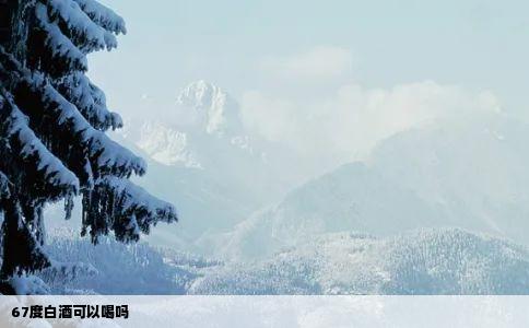 67度白酒可以喝吗