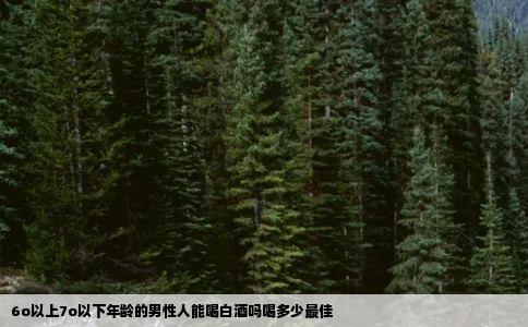 6o以上7o以下年龄的男性人能喝白酒吗喝多少最佳