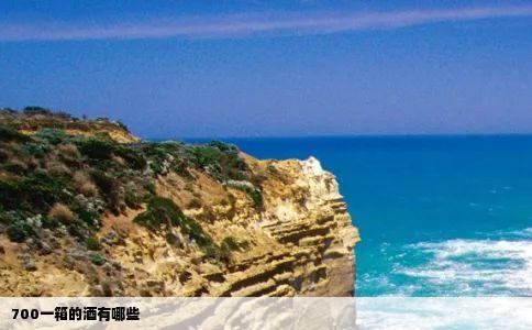 700一箱的酒有哪些