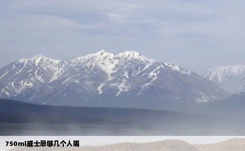750ml威士忌够几个人喝