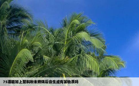 75酒精加上塑料粉末燃烧后会生成有害物质吗