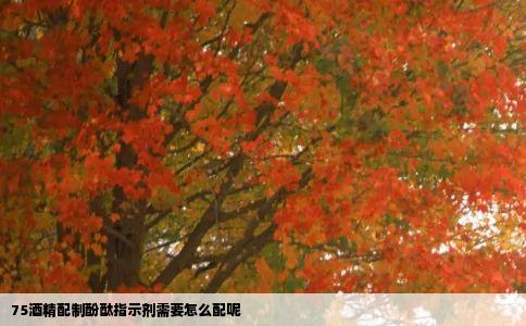 75酒精配制酚酞指示剂需要怎么配呢