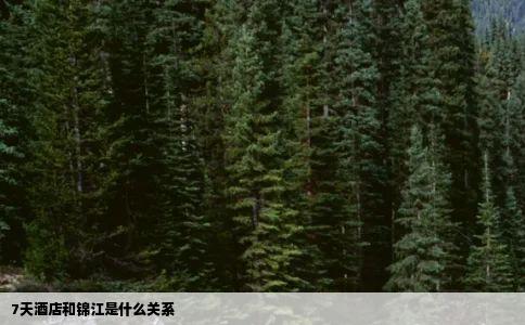 7天酒店和锦江是什么关系