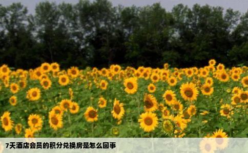 7天酒店会员的积分兑换房是怎么回事