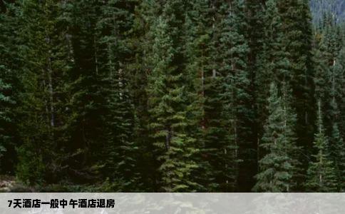 7天酒店一般中午酒店退房