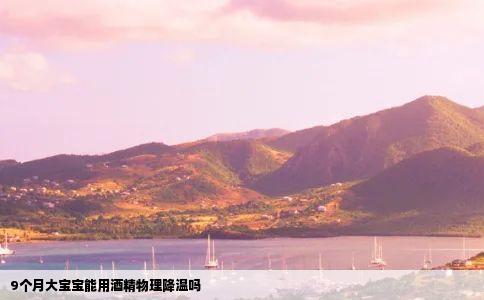 9个月大宝宝能用酒精物理降温吗