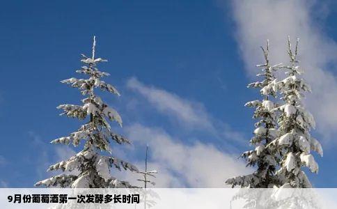 9月份葡萄酒第一次发酵多长时间