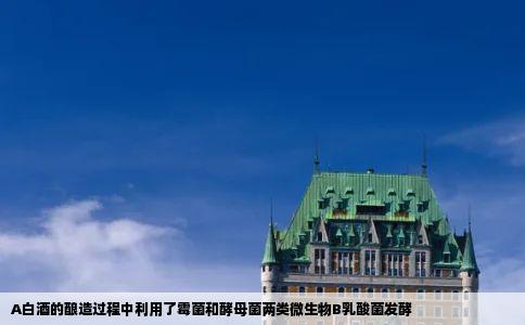 A白酒的酿造过程中利用了霉菌和酵母菌两类微生物B乳酸菌发酵