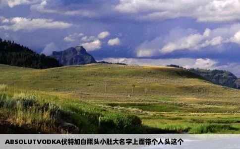 ABSOLUTVODKA伏特加白瓶头小肚大名字上面带个人头这个