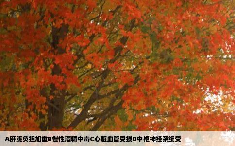 A肝脏负担加重B慢性酒精中毒C心脏血管受损D中枢神经系统受