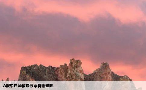 A股中白酒板块股票有哪些呢