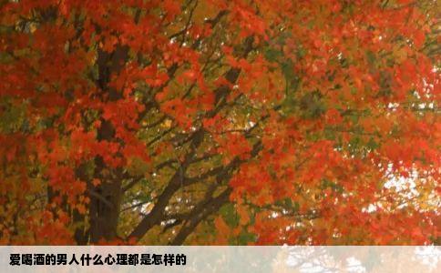 爱喝酒的男人什么心理都是怎样的