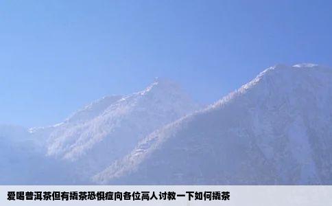 爱喝普洱茶但有撬茶恐惧症向各位高人讨教一下如何撬茶