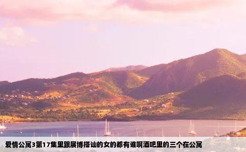 爱情公寓3第17集里跟展博搭讪的女的都有谁啊酒吧里的三个在公寓