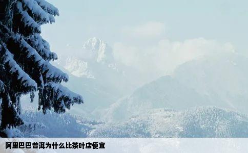 阿里巴巴普洱为什么比茶叶店便宜
