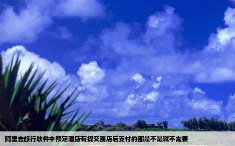 阿里去旅行软件中预定酒店有提交离店后支付的那是不是就不需要