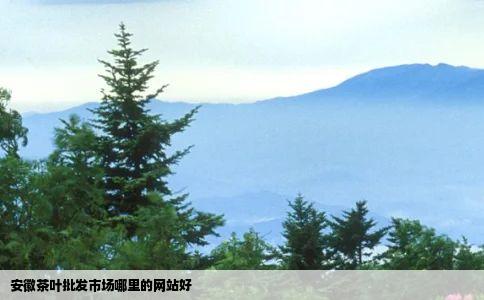 安徽茶叶批发市场哪里的网站好